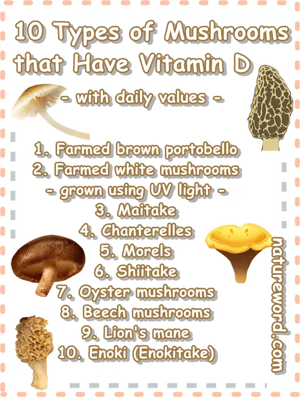 10 mushrooms vitamin D content