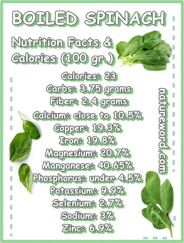 Boiled spinach calories nutrition 100 grams