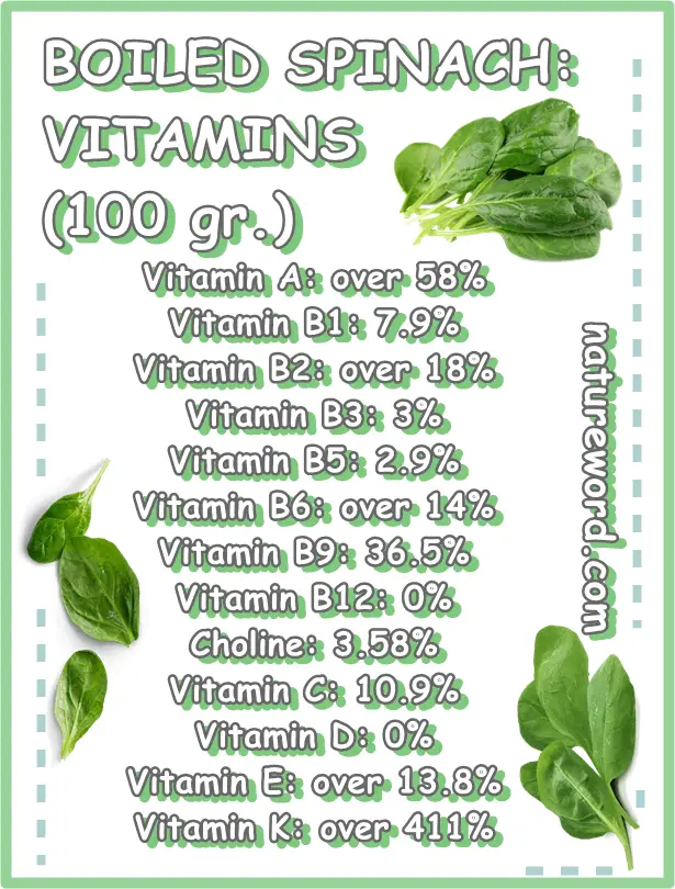 Boiled spinach vitamins 100 grams