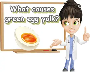 Egg yolk green ring
