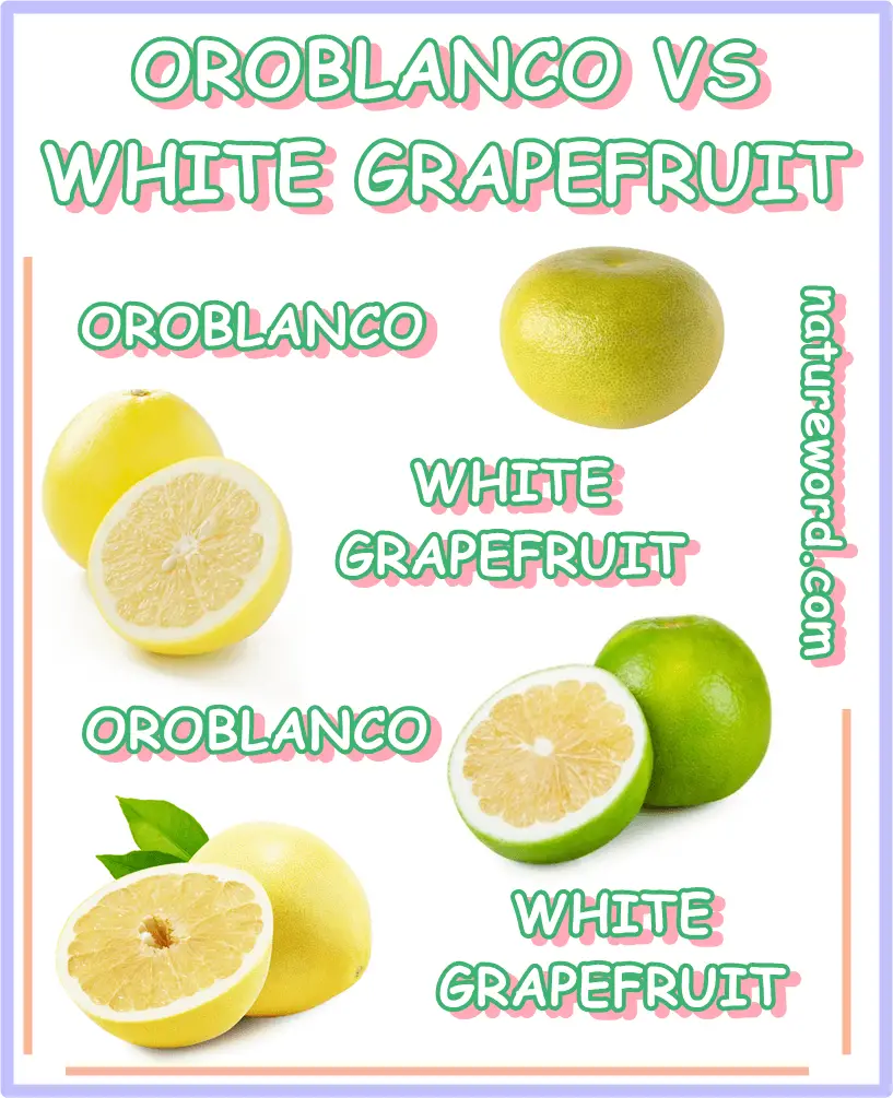 Oroblanco or white grapefruit