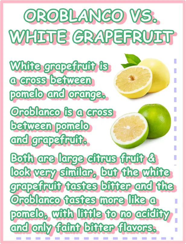 Oroblanco white grapefruit difference