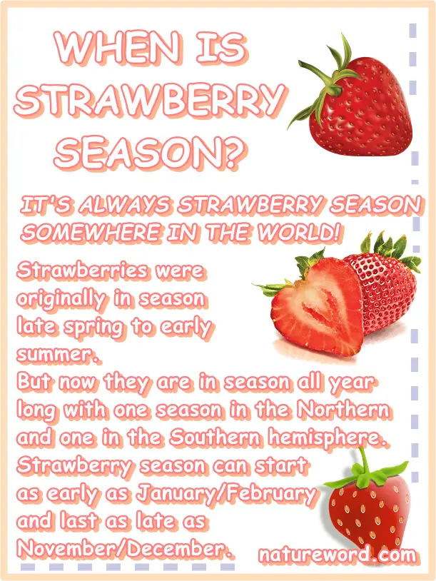 Strawberries season