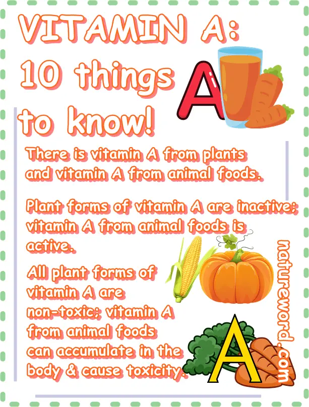 Vitamin A 10 facts