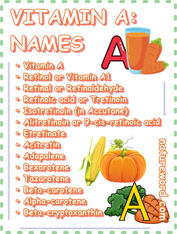 Vitamin A names