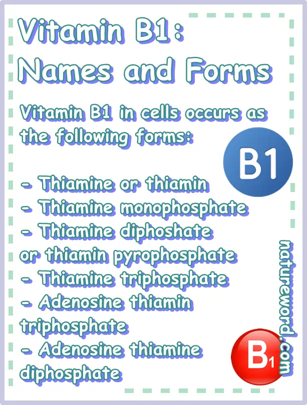 Vitamin B1 other names