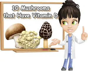 Vitamin D foods list mushrooms