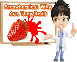 What makes strawberries red