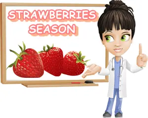 When is strawberry season