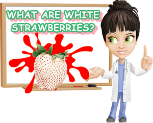 White strawberries