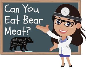 can you eat bear meat