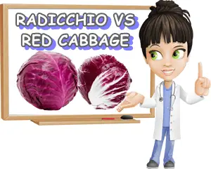 Radicchio vs red cabbage difference
