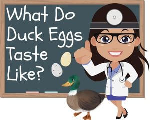 What Do Duck Eggs Taste Like