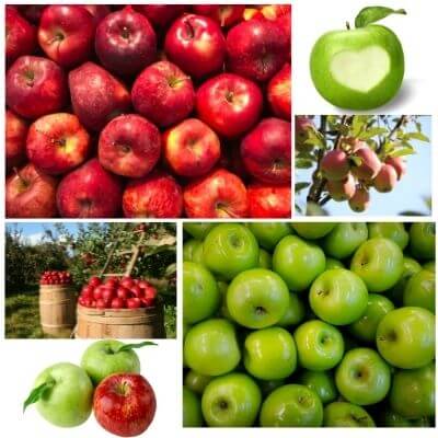is apple acidic or alkaline