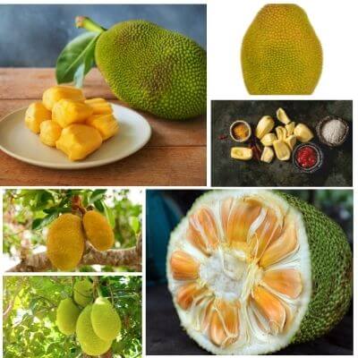jackfruit alkaline or acidic