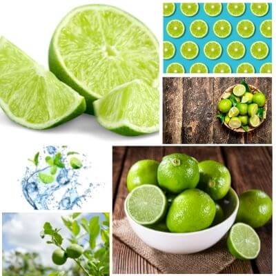 lime alkaline or acidic