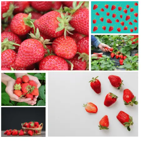 strawberries acidic or alkaline