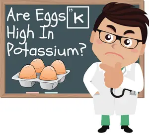 Are Eggs High In Potassium