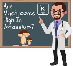 Are Mushrooms High In Potassium