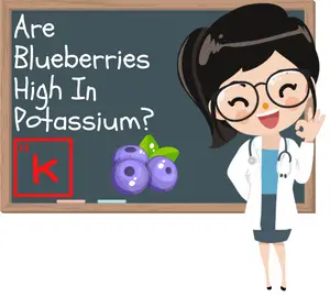 Blueberries -potassium