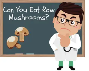 Can You Eat Raw Mushrooms
