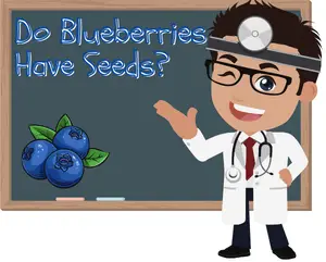 Do Blueberries Have Seeds