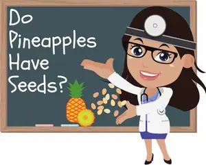 Do Pineapples Have Seeds