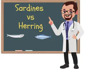 Sardines vs Herring