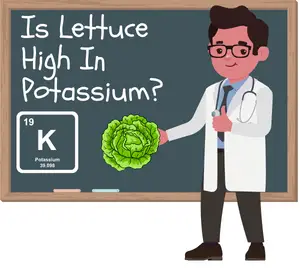 lettuce-potassium
