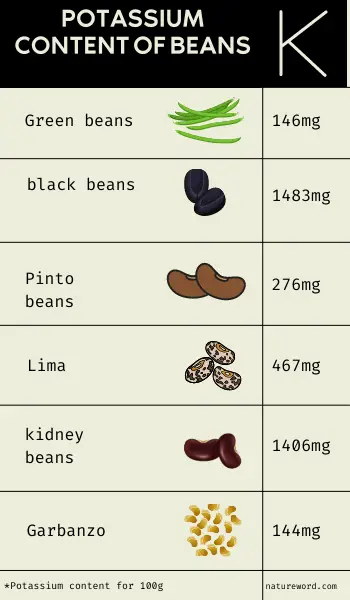 infographic-potassium content of different beans