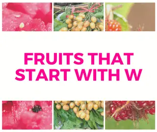 23 Fruits That Start With W (A Complete List) – NatureWord