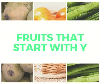 Fruits That Start With Y