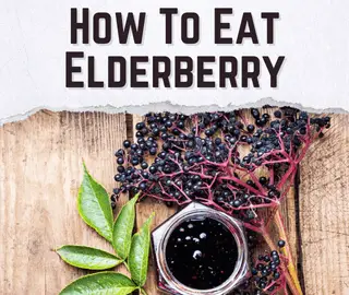 How To Eat Elderberry