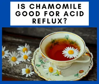 Is Chamomile Good For Acid Reflux