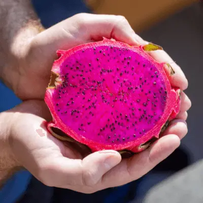 Red Pitahaya