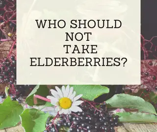 Who Should Not Take Elderberries