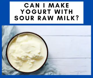 Can I Make Yogurt With Sour Raw Milk