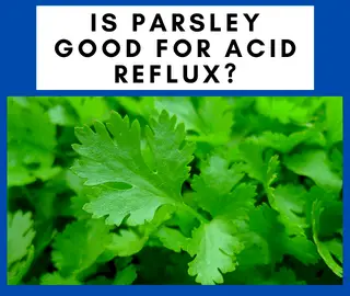 Is Parsley Good for Acid Reflux