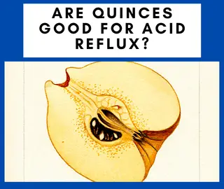 Are quinces Good For Acid Reflux