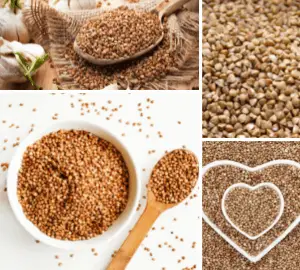 Buckwheat glycemic index