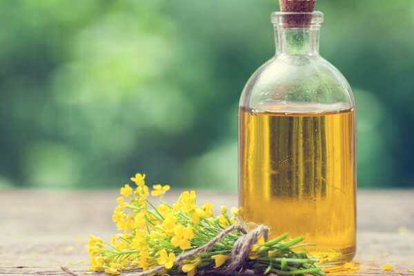 canola oil 