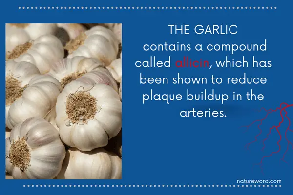 garlic benefits for arteries