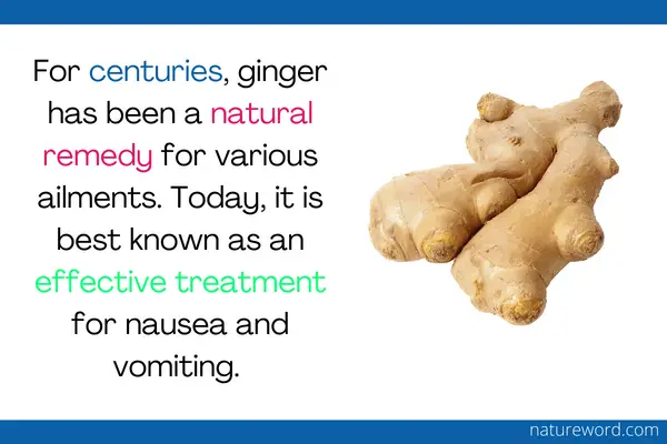 ginger can help prevent allergies