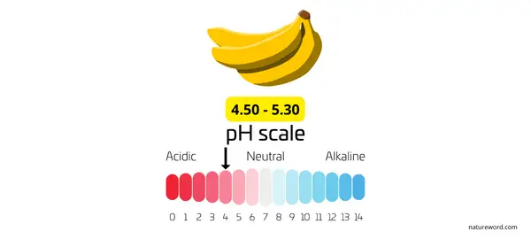 ph value of banana