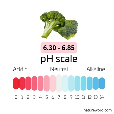 ph value of broccoli