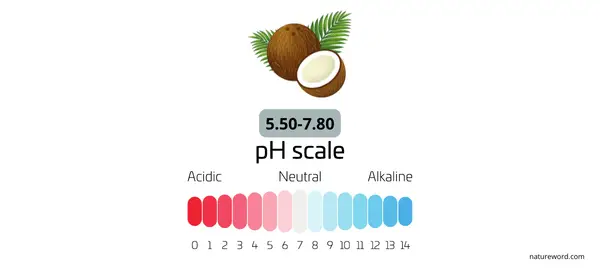 ph value of coconut