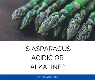 Asparagus ph value