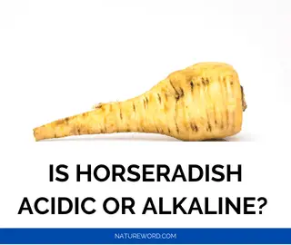 Horseradish ph-alkaline-acidic