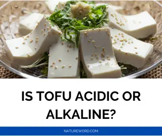 tofu-alkaline or acidic