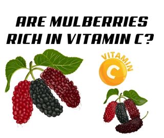 Are Mulberries Rich in Vitamin C